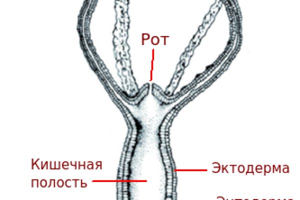 Кракен личный кабинет